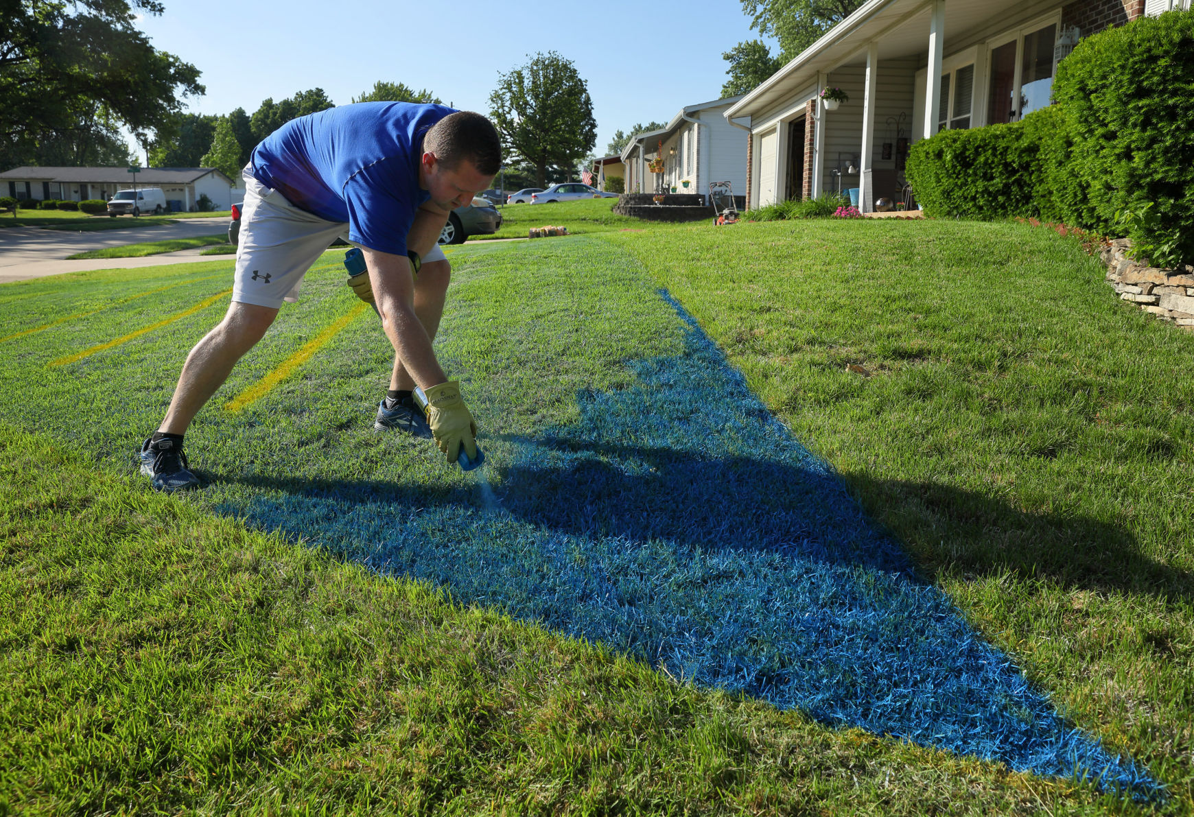 St. Louis Blues fan paints his yard with logo